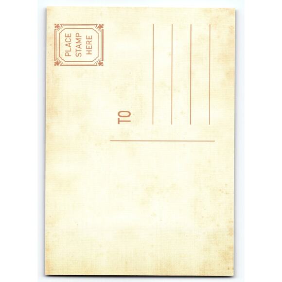 Vintage Halloween Postcard Skeleton Witch with Pumpkins & Skulls Art - Picture 2 of 2